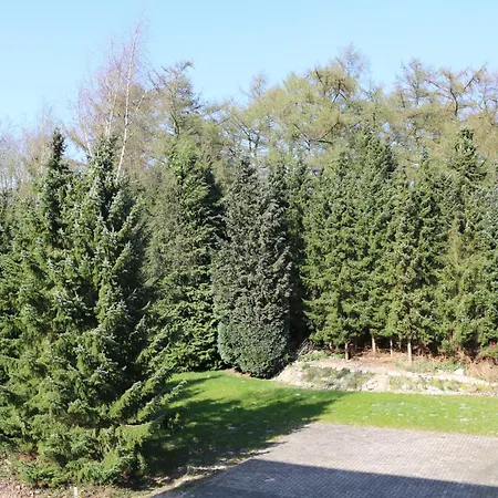 Graf Balduin Esterwegen