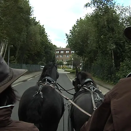 Отель Graf Balduin Esterwegen