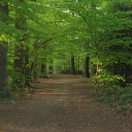 Graf Balduin מלון 3*