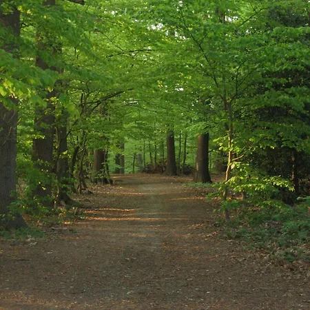 מלון Graf Balduin Esterwegen