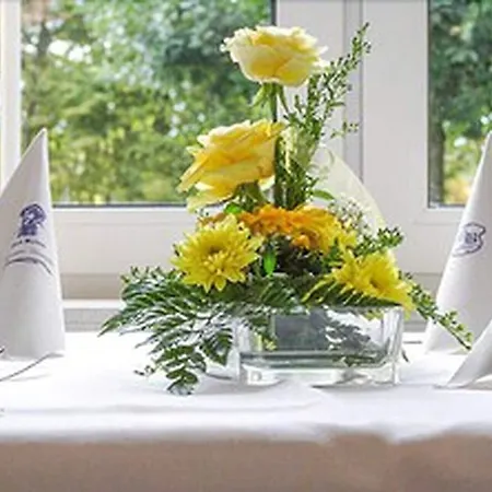 מלון Graf Balduin Esterwegen