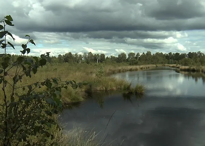 格拉夫巴尔顿酒店 3* 埃斯特韦根